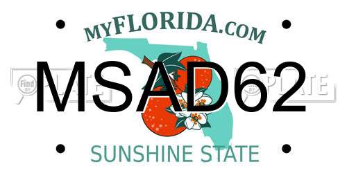 MSAD62 Florida License Plate