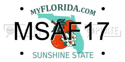 MSAF17 Florida License Plate