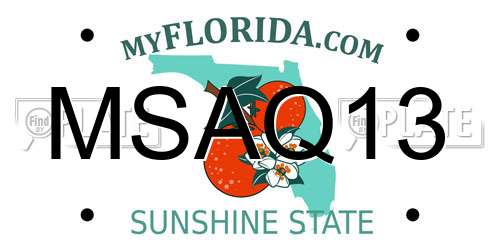 MSAQ13 Florida License Plate