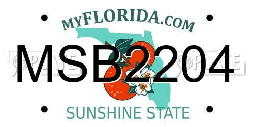 MSB2204 Florida License Plate