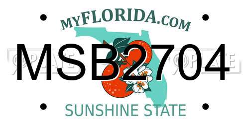 MSB2704 Florida License Plate