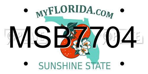 MSB7704 Florida License Plate