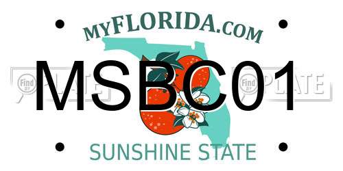 MSBC01 Florida License Plate