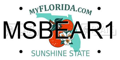 MSBEAR1 Florida License Plate
