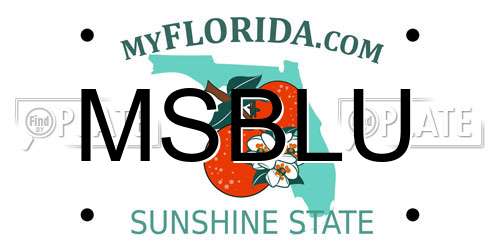 MSBLU Florida License Plate