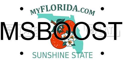 MSBOOST Florida License Plate