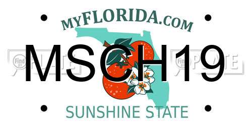 MSCH19 Florida License Plate