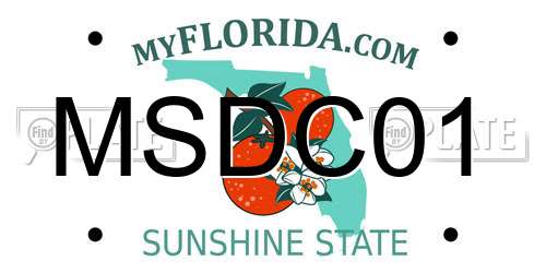 MSDC01 Florida License Plate