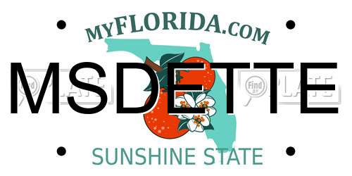 MSDETTE Florida License Plate