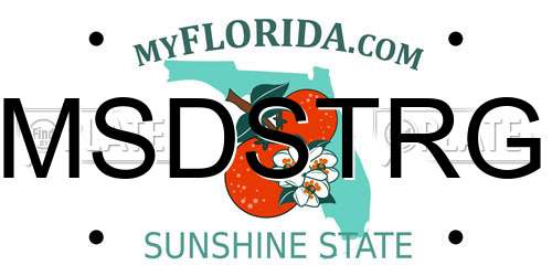 MSDSTRG Florida License Plate
