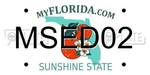 MSED02 Florida License Plate