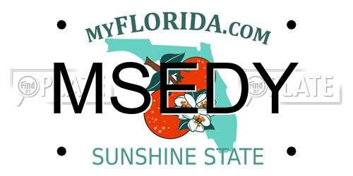 MSEDY Florida License Plate