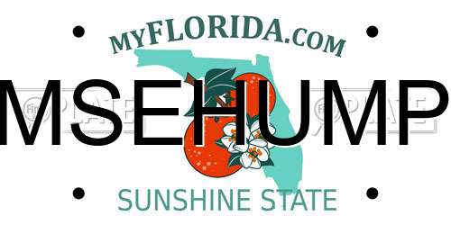 MSEHUMP Florida License Plate