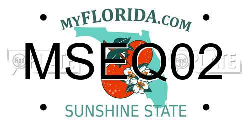 MSEQ02 Florida License Plate