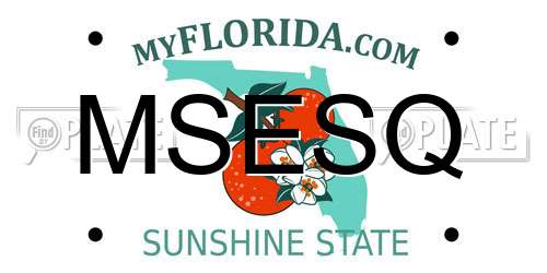 MSESQ Florida License Plate
