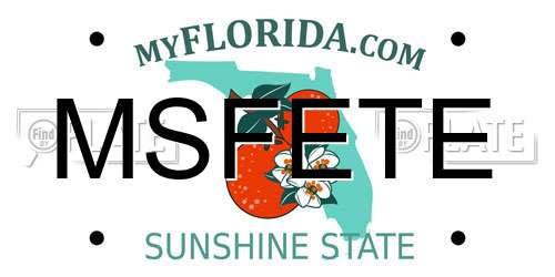 MSFETE Florida License Plate