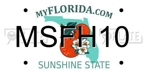 MSFH10 Florida License Plate