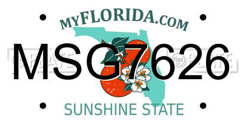 MSG7626 Florida License Plate