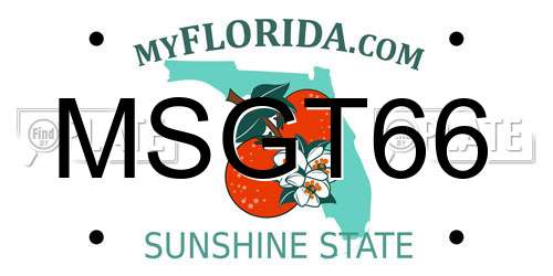 MSGT66 Florida License Plate