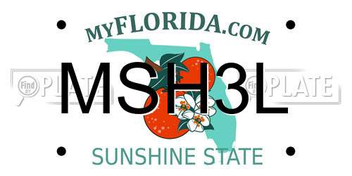 MSH3L Florida License Plate