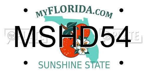 MSHD54 Florida License Plate