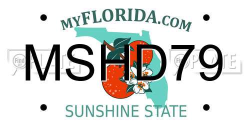 MSHD79 Florida License Plate