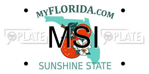 MSI Florida License Plate