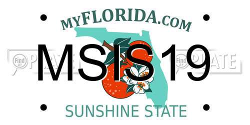 MSIS19 Florida License Plate