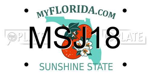 MSJ18 Florida License Plate