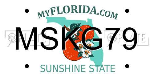 MSKG79 Florida License Plate