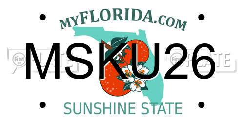 MSKU26 Florida License Plate