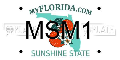 MSM1 Florida License Plate