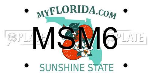 MSM6 Florida License Plate