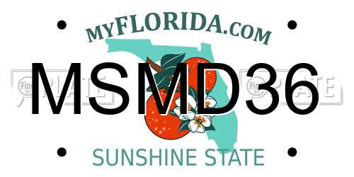 MSMD36 Florida License Plate