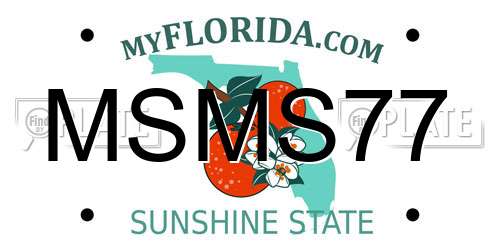 MSMS77 Florida License Plate