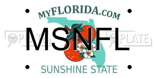 MSNFL Florida License Plate