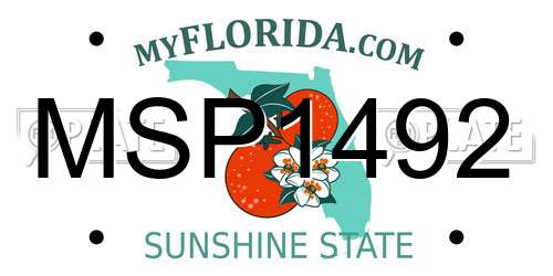 MSP1492 Florida License Plate