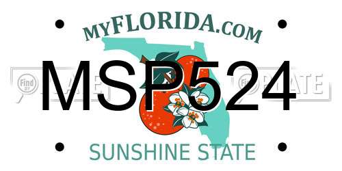 MSP524 Florida License Plate