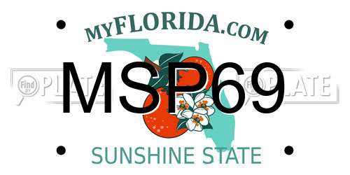 MSP69 Florida License Plate