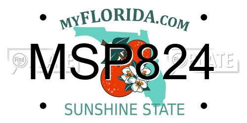 MSP824 Florida License Plate