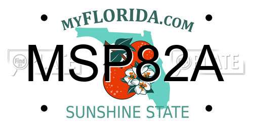 MSP82A Florida License Plate