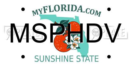 MSPHDV Florida License Plate