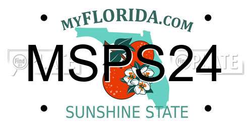 MSPS24 Florida License Plate