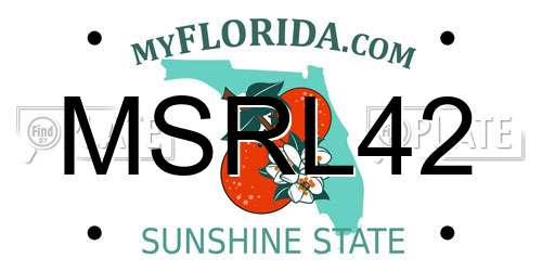 MSRL42 Florida License Plate