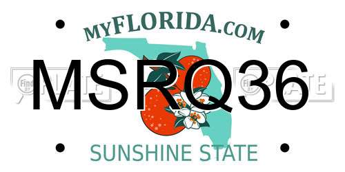 MSRQ36 Florida License Plate