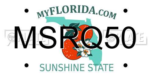 MSRQ50 Florida License Plate
