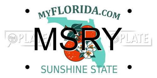MSRY Florida License Plate