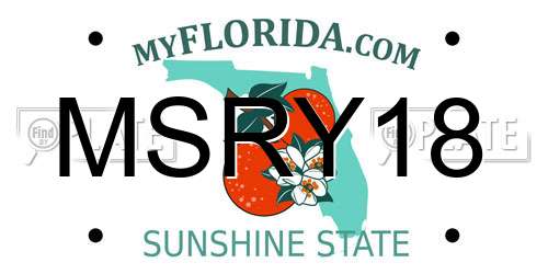 MSRY18 Florida License Plate