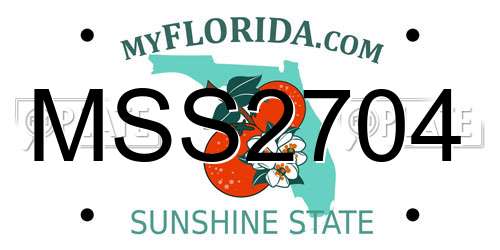 MSS2704 Florida License Plate