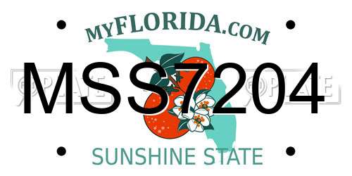MSS7204 Florida License Plate